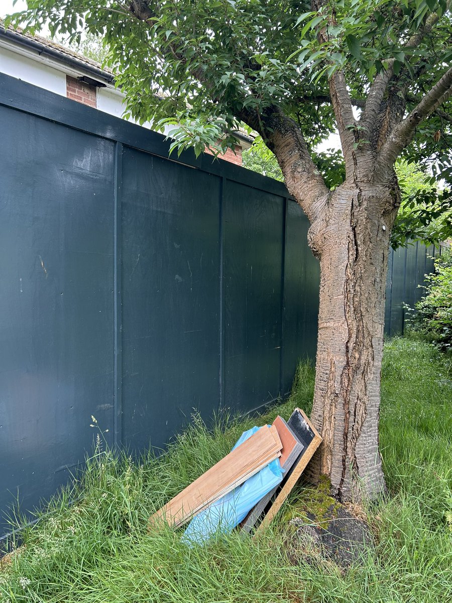 Oscar Harrison tweet media