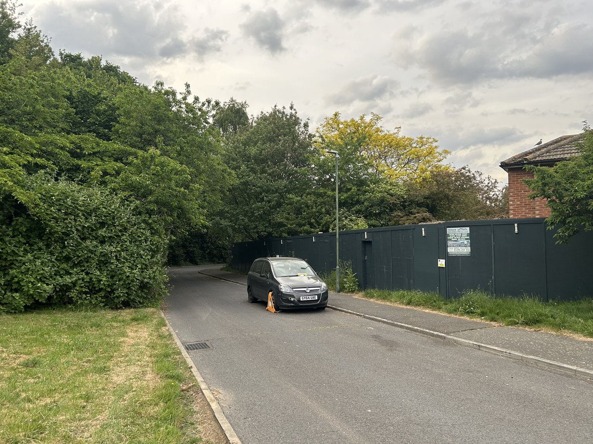 Oscar Harrison tweet media