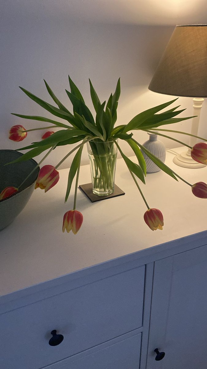 Andrew Mackey tweet media