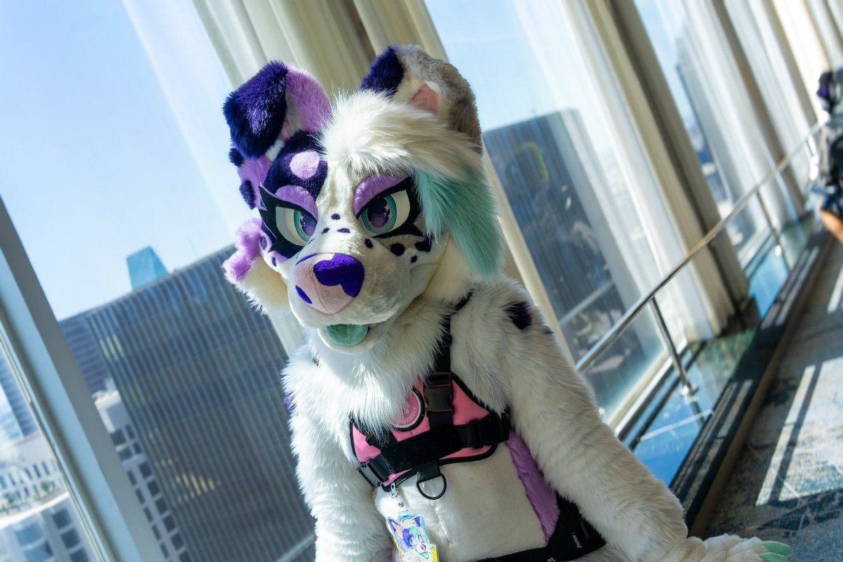 puppyreality's tweet image. dog in the big city 🏙️🐾
📸: me
✂️: thephoenixnest_ & lynxbarks