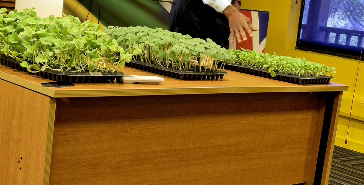 UKinCaribbean ๐ฌ๐ง (@ukincaribbean) on Twitter photo ๐๐ฑ As we observe #WorldEnvironmentDay2025 Winston Shaw from <a href="/rada_jam/">Rural Agricultural Development Authority (RADA)</a>
shared tips with BHC Kingston staff on starting backyard gardens ๐ถ๐ฅฌ promoting sustainability and food security. He also donated seedlings collected by High Commissioner <a href="/JudithSlater_UK/">Judith Slater</a>
#UKinJamaica ๐ฏ๐ฒ๐ฌ๐ง ๐๐ฑ As we observe #WorldEnvironmentDay2025 Winston Shaw from <a href="/rada_jam/">Rural Agricultural Development Authority (RADA)</a>
shared tips with BHC Kingston staff on starting backyard gardens ๐ถ๐ฅฌ promoting sustainability and food security. He also donated seedlings collected by High Commissioner <a href="/JudithSlater_UK/">Judith Slater</a>
#UKinJamaica ๐ฏ๐ฒ๐ฌ๐ง