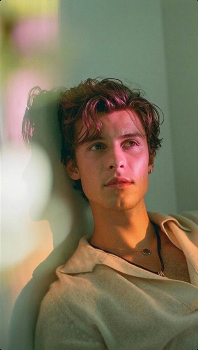 relapseherron's tweet image. introducing myself ahead of shawn's tour 🩷 #OnTheRoadWithShawn

ღ name: amber
ღ from: belgium
ღ fav albums: illuminate, sm3, shawn
ღ fave songs: when you're ready, nba, 305, that's the dream, bad reputation &amp;amp; iichy
ღ otra shows: amsterdam and london