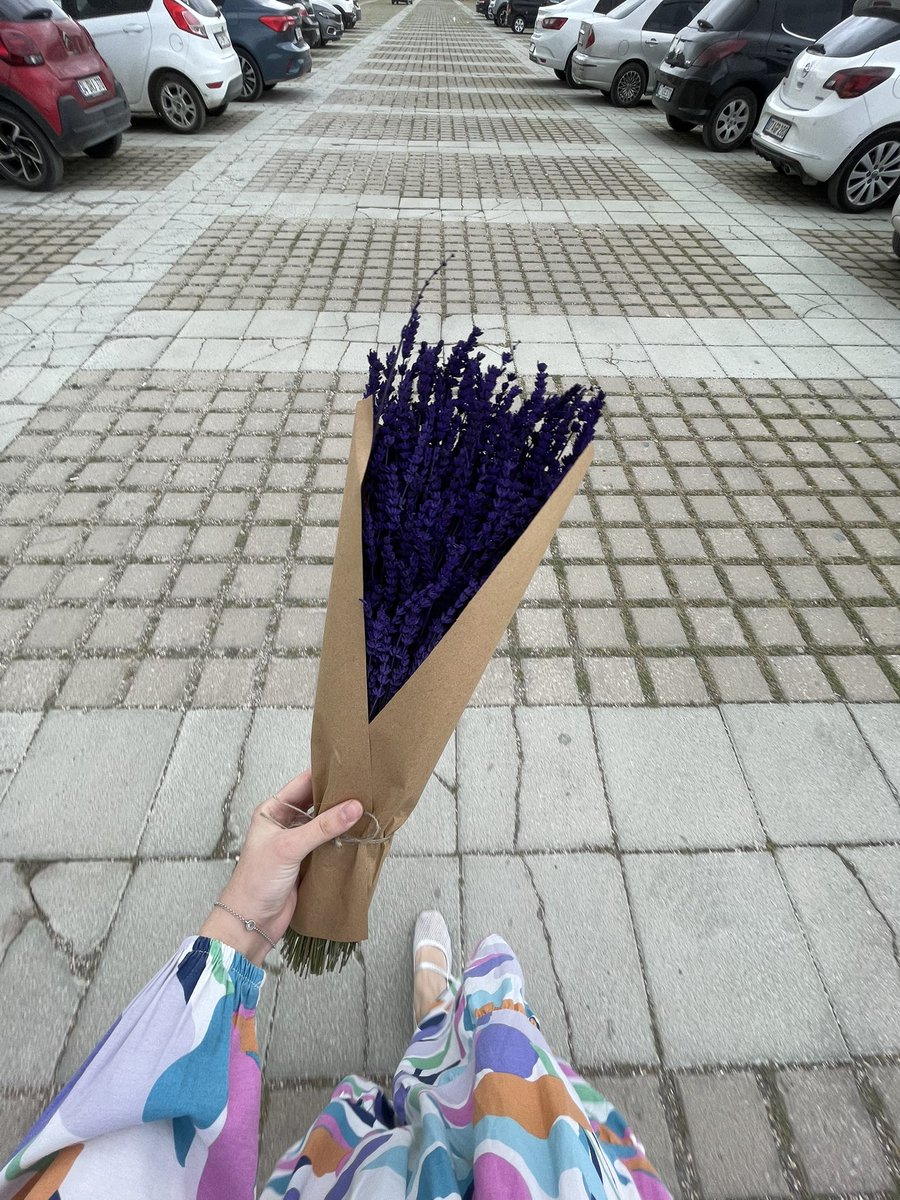 kaderulgarr's tweet photo. Kızlar ve kendilerine kendilerinin aldığı çiçekler 🪻 https://t.co/aoyPpc4zRp