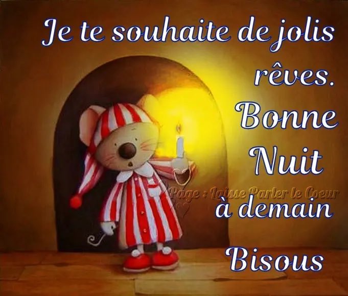 Bonne soirée et à demain 😘🌺