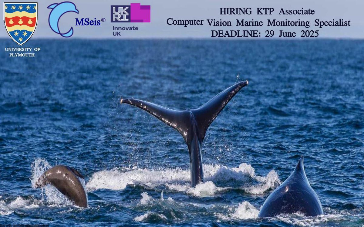 Dena Bazazian (@denabazazian) on Twitter photo 🚨An exciting opportunity to join a multidisciplinary project jointly delivered by the <a href="/PlymUni/">University of Plymouth</a> and MSeis, funded by <a href="/innovateuk/">Innovate UK</a> to develop advanced computer vision techniques for detecting and monitoring marine mammals. More information & apply: jobs.ac.uk/job/DNI226/ktp… 🚨An exciting opportunity to join a multidisciplinary project jointly delivered by the <a href="/PlymUni/">University of Plymouth</a> and MSeis, funded by <a href="/innovateuk/">Innovate UK</a> to develop advanced computer vision techniques for detecting and monitoring marine mammals. More information & apply: jobs.ac.uk/job/DNI226/ktp…
