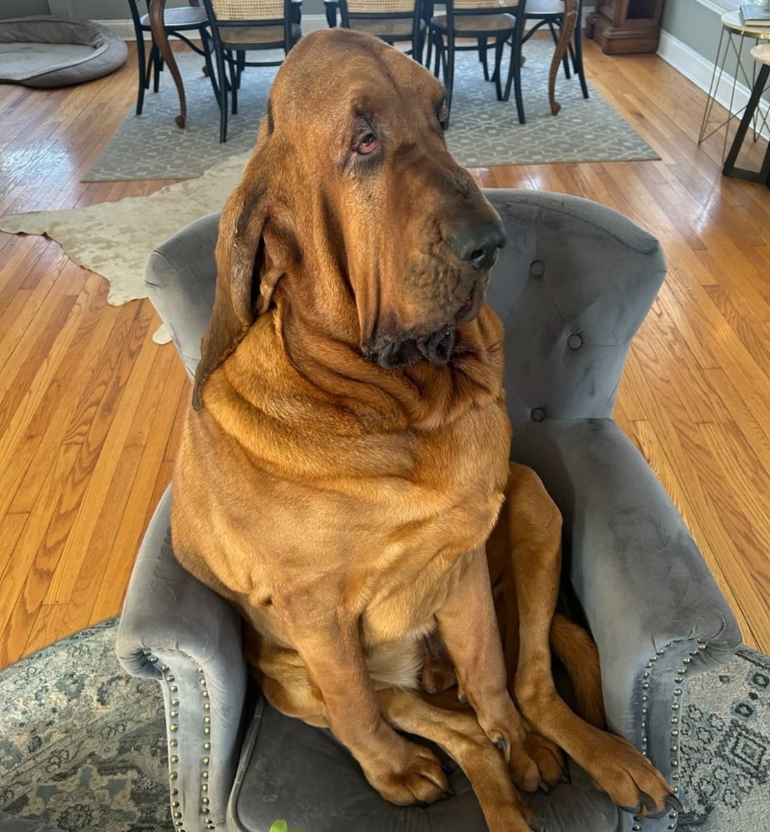 Me watching Julianna Peña somehow defeat Kayla and fuck up UFC’s plans again