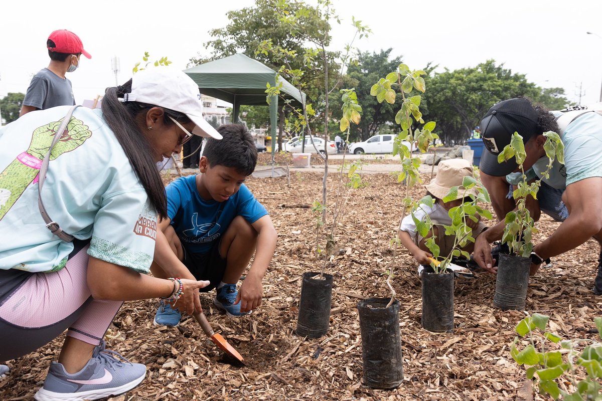 7.500 PLANTAS NATIVAS PARA UNA CIUDAD MÁS RENATURALIZADA

Damos un paso firme hacia la sostenibilidad con el proyecto de Bosques Urbanos Nativos (BUN), que ya han transformado dos zonas degradadas en ecosistemas vivos con más de 7.500 plantas de 143 especies nativas. Estos