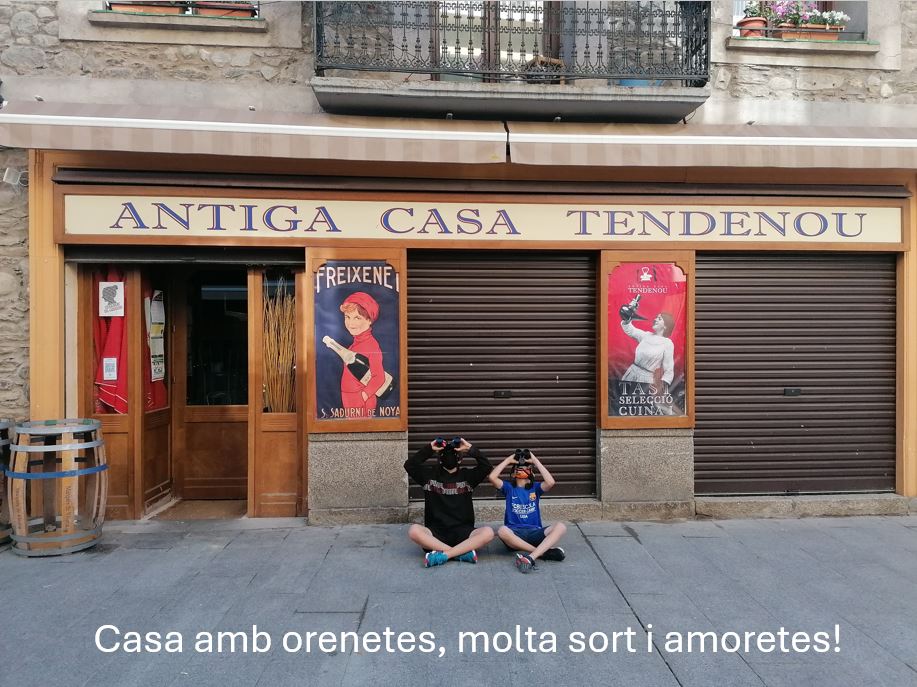 CdaVallsAneu's tweet photo. El #ProjecteOrenetes de l'@ICOcells el van idear 2 ornitòlegs arenyencs: @badosa_enric i Pere Alzina @BeyondBCN,i van convèncer al Sr Jordi Sargatal,actual Secretari de @transicioeco, llavors director de la Fundació Territori i Paisatge per finançar-lo (actual @FCLP_Fundacio) 3/5 https://t.co/m8TgJvCshM