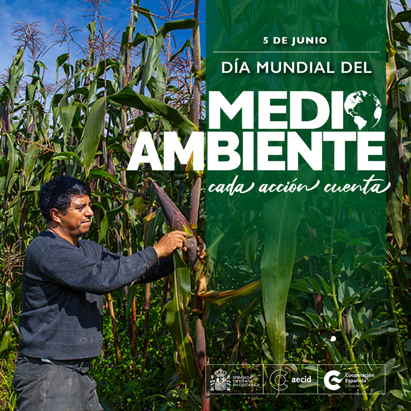 🌎 #DíaMundialdelMedioAmbiente 
¿Sabías que nuestra oficina en Costa Rica 🇨🇷 es la Unidad Técnica Especializada en Medio Ambiente y Cambio Climático que gestiona iniciativas regionales?

🌿Conoce más 👉 aecid.es/web/oce-costa-…