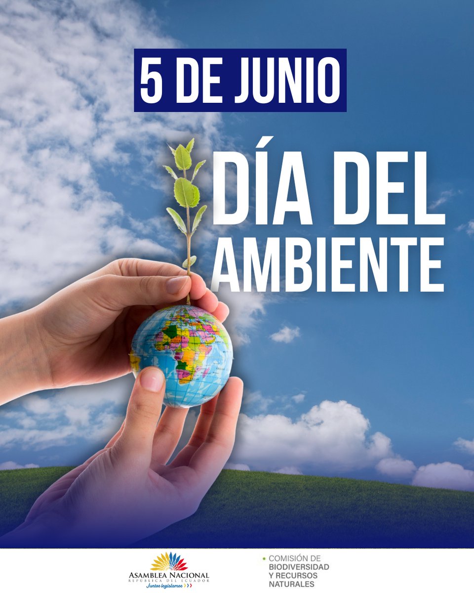 05 de Junio, 🌱 #DíaMundialdelAmbiente

La naturaleza nos habla en cada río, en cada árbol, en cada especie que habita nuestro territorio.
Hoy celebramos la vida que florece en nuestro país y recordamos que cuidar el ambiente es cuidarnos a nosotros mismos.
