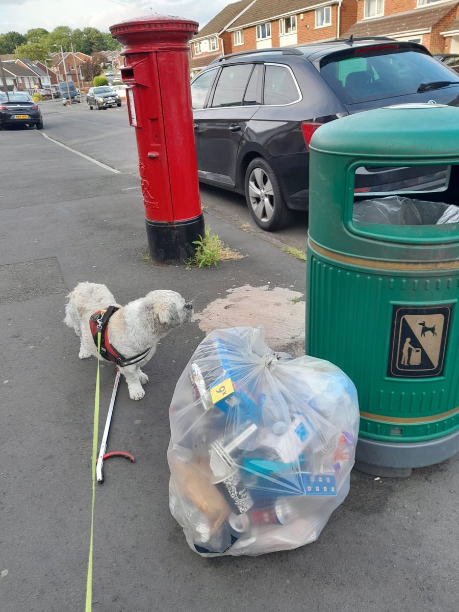 Litterwatch1's tweet image. Community Spotlight: Meet Kay, Gizmo, &amp;amp; Geoff. This trio in Hamstead keeps their street litter-free. Kay balances work, dog walking, and litter picking. Gizmo loves the spotlight—even if he prefers to keep his back to the camera. #CommunityHeroes #LitterFreeHamstead #sandwell