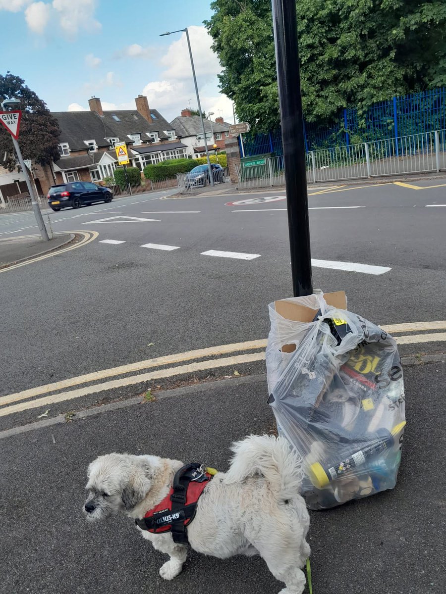 Litterwatch1's tweet image. Community Spotlight: Meet Kay, Gizmo, &amp;amp; Geoff. This trio in Hamstead keeps their street litter-free. Kay balances work, dog walking, and litter picking. Gizmo loves the spotlight—even if he prefers to keep his back to the camera. #CommunityHeroes #LitterFreeHamstead #sandwell