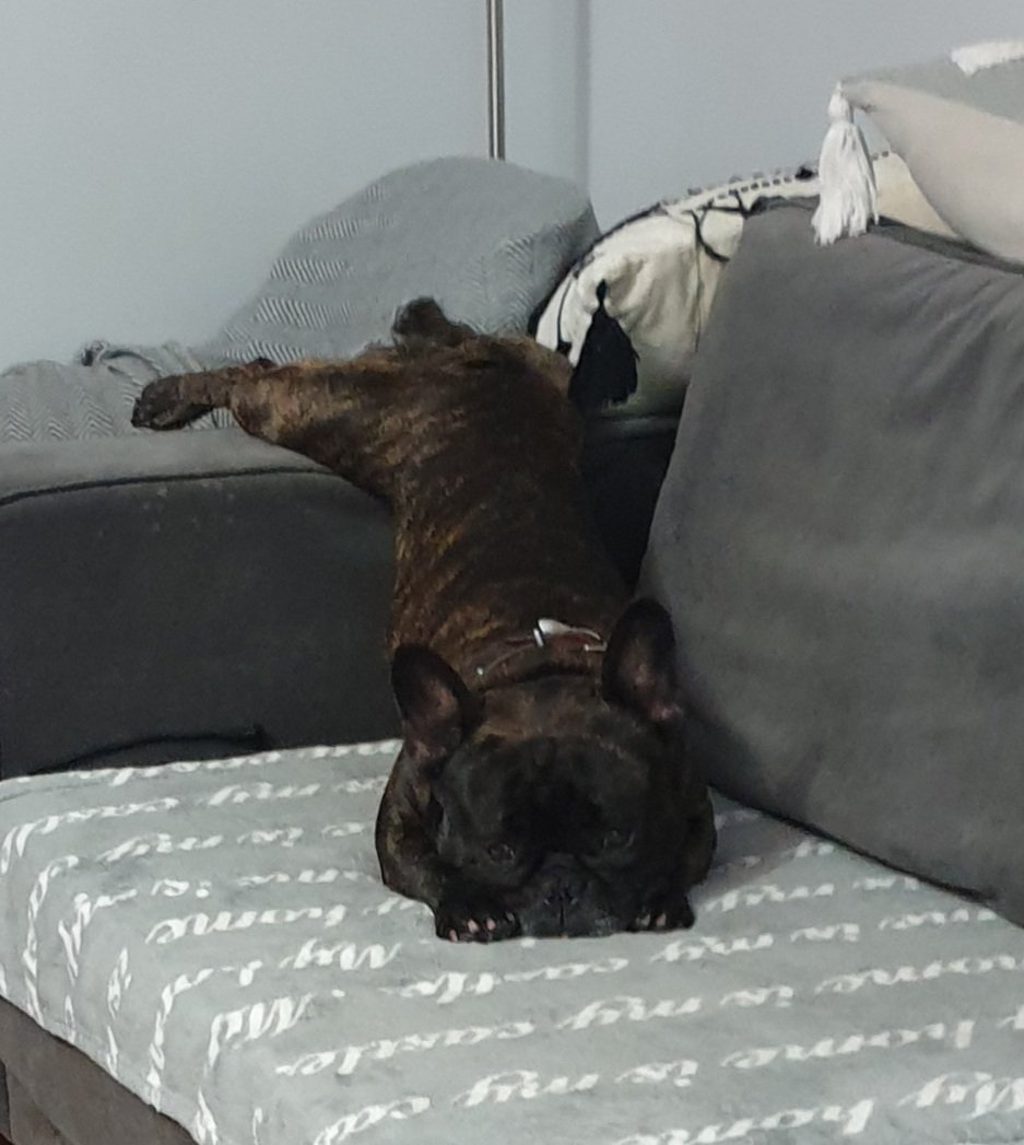 Luz totalny......😆😅😁🤣