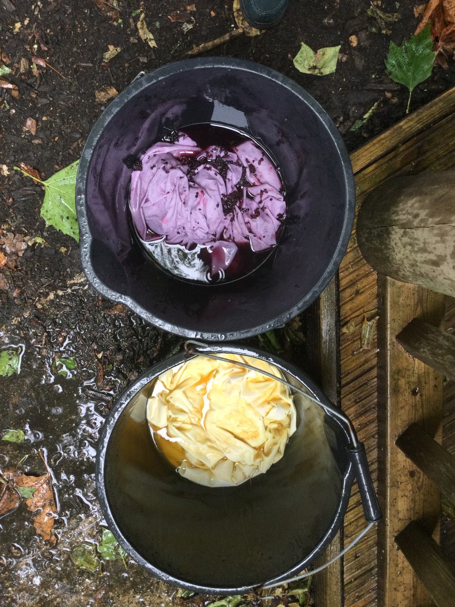 Great Gaddesden CE (VA) Primary School tweet media