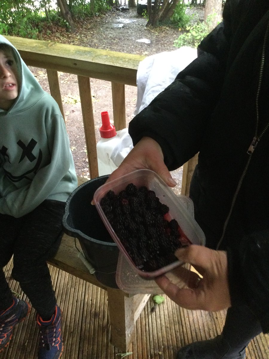 Great Gaddesden CE (VA) Primary School tweet media