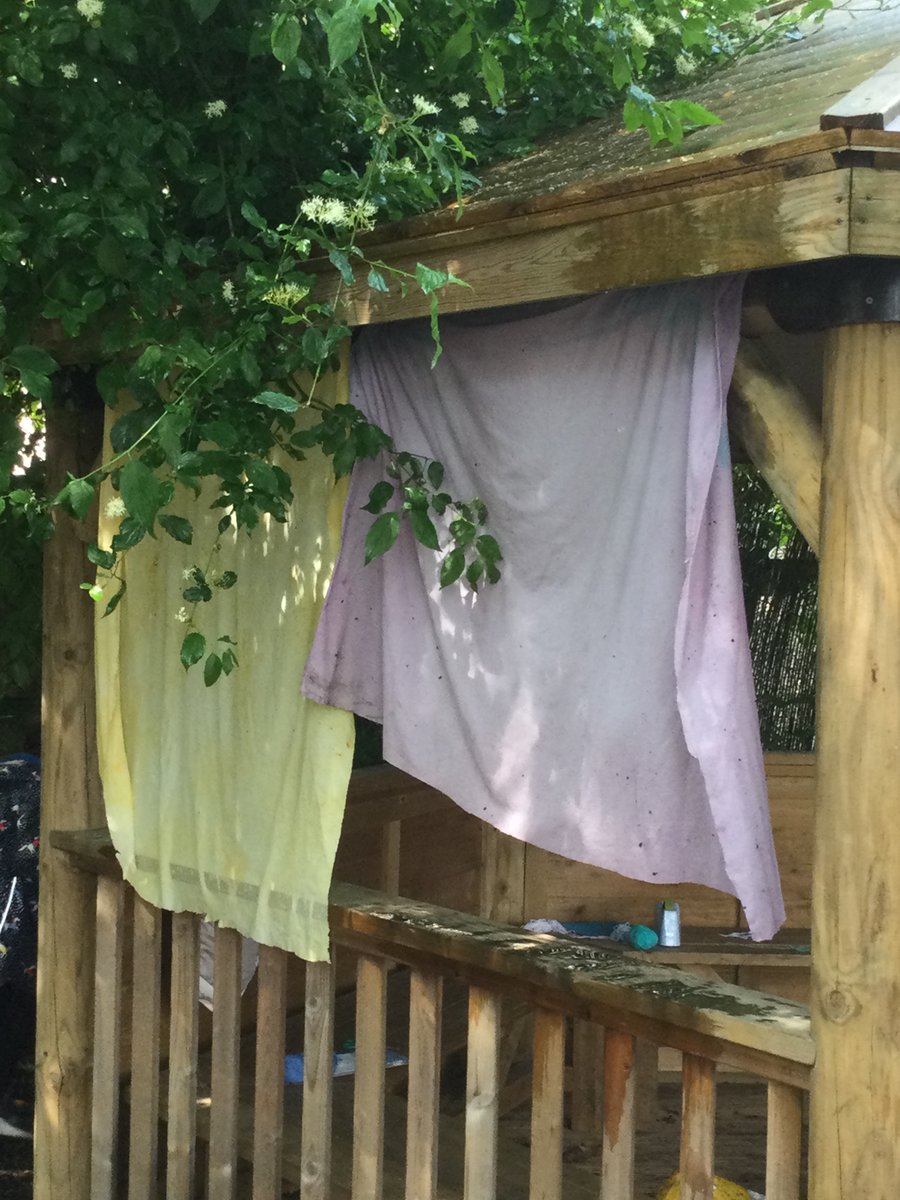 Great Gaddesden CE (VA) Primary School tweet media