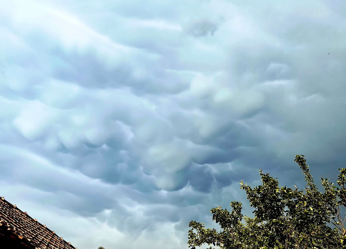 Today we got some mammatus clouds 😍