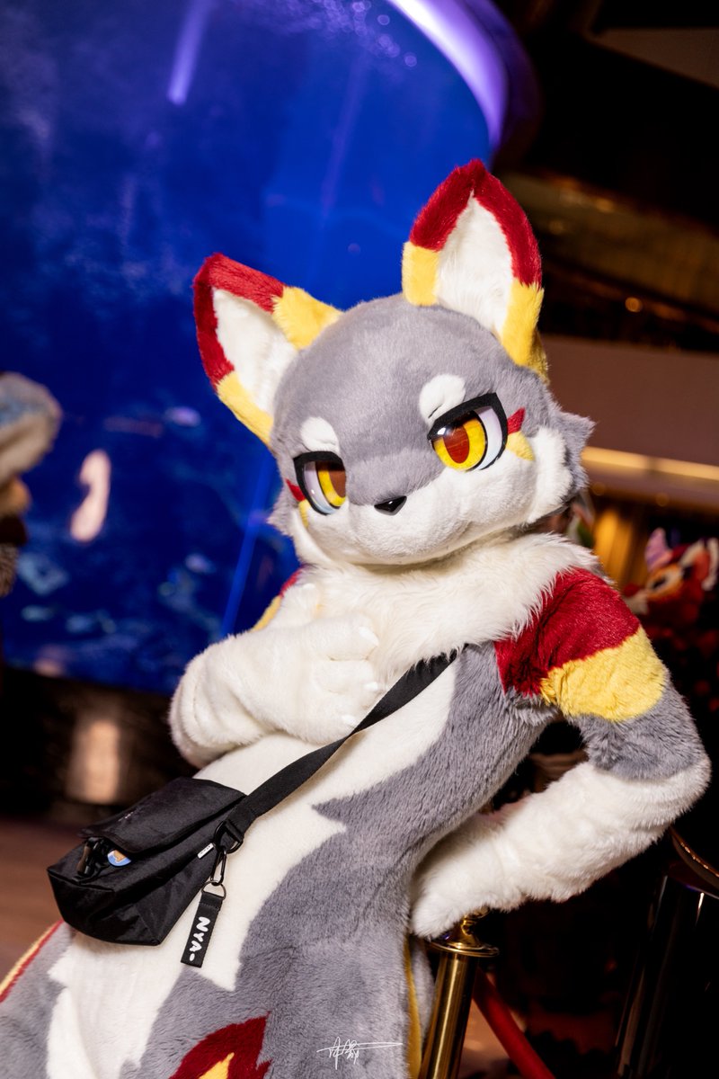 ドキドキ❤️

📷：沐晟

#FursuitFriday