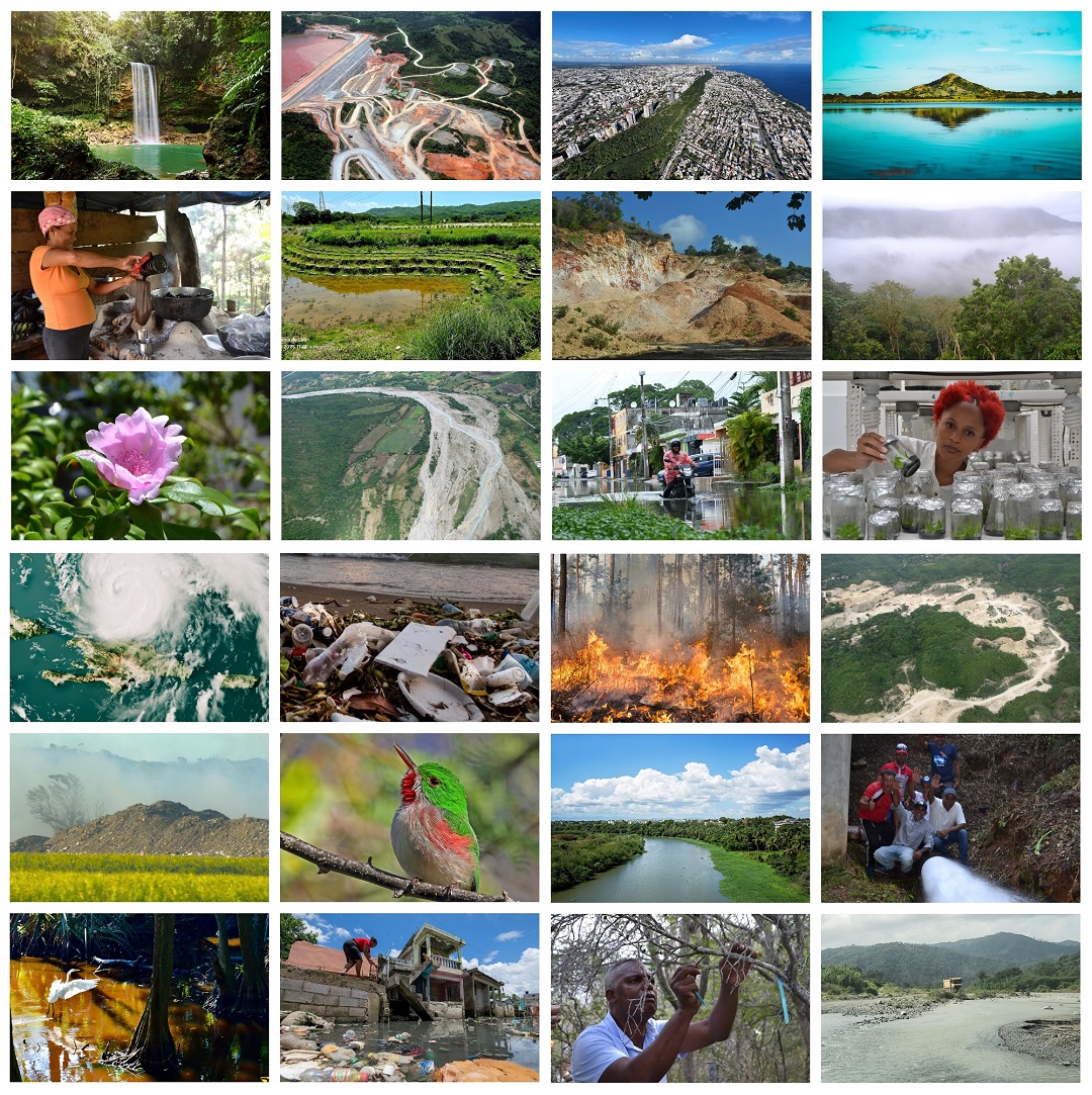 #VidaVerde | ¿Cuál es el principal desafío ambiental que enfrenta República Dominicana en estos momentos? Científicos y ambientalistas responden a esta pregunta de #ListínDiario desde diversos enfoques. #DíaMundialDelMedioAmbiente --  listindiario.com/la-vida/vida-v…