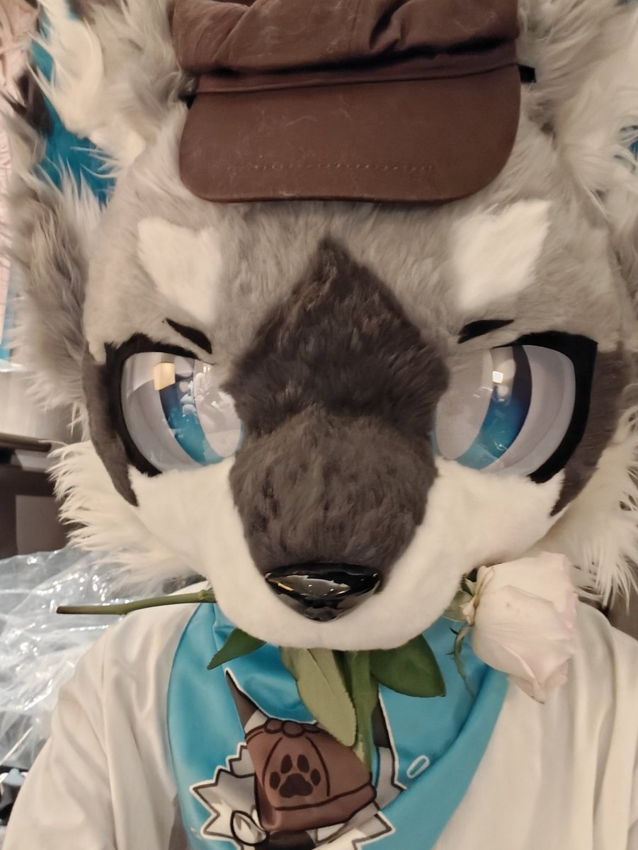 给你🌹
#furry #fursuit #FursuitFriday