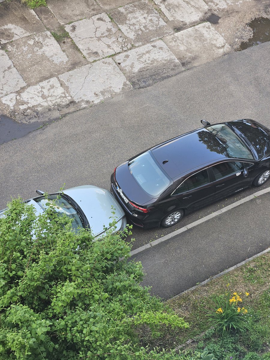 Apbrīnoju kaimiņa parkošanās spējas.