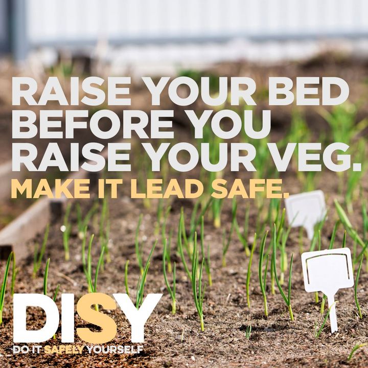 GTLOpgh's tweet image. To prevent food contamination, consider raised beds when you start your garden. When you’re playing or working outside, be sure all bare soil is covered by things like wood chips, mulch or vegetation.

Learn more at GetTheLeadOutPgh.org. #GetTheLeadOutPgh #DIS