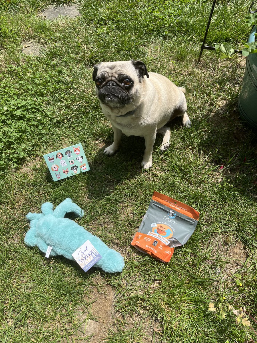 Zinny, Winny. And dear Lucy. Thank youz so much for my prizes. I love everything. I brought said out for sunshine and so love. My snack are so goob. Youz mom is da best. Love lalagail and mom❤️
