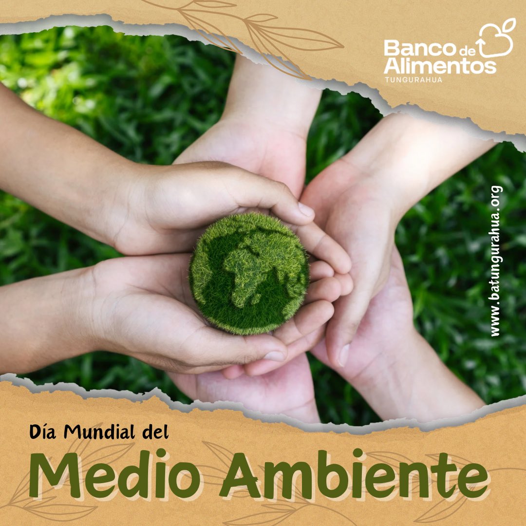 batalimentos's tweet photo. 🌍 Hoy en el #DíaDelMedioAmbiente recordamos que cuidar el planeta también es luchar contra el hambre.

En @BancoAlimentosT rescatamos alimentos para que no terminen en la basura, sino en las mesas de quienes más lo necesitan. 🍎♻️

#SinHambreYSinDesperdicio #TungurahuaSostenible https://t.co/lRhdbaQzQN