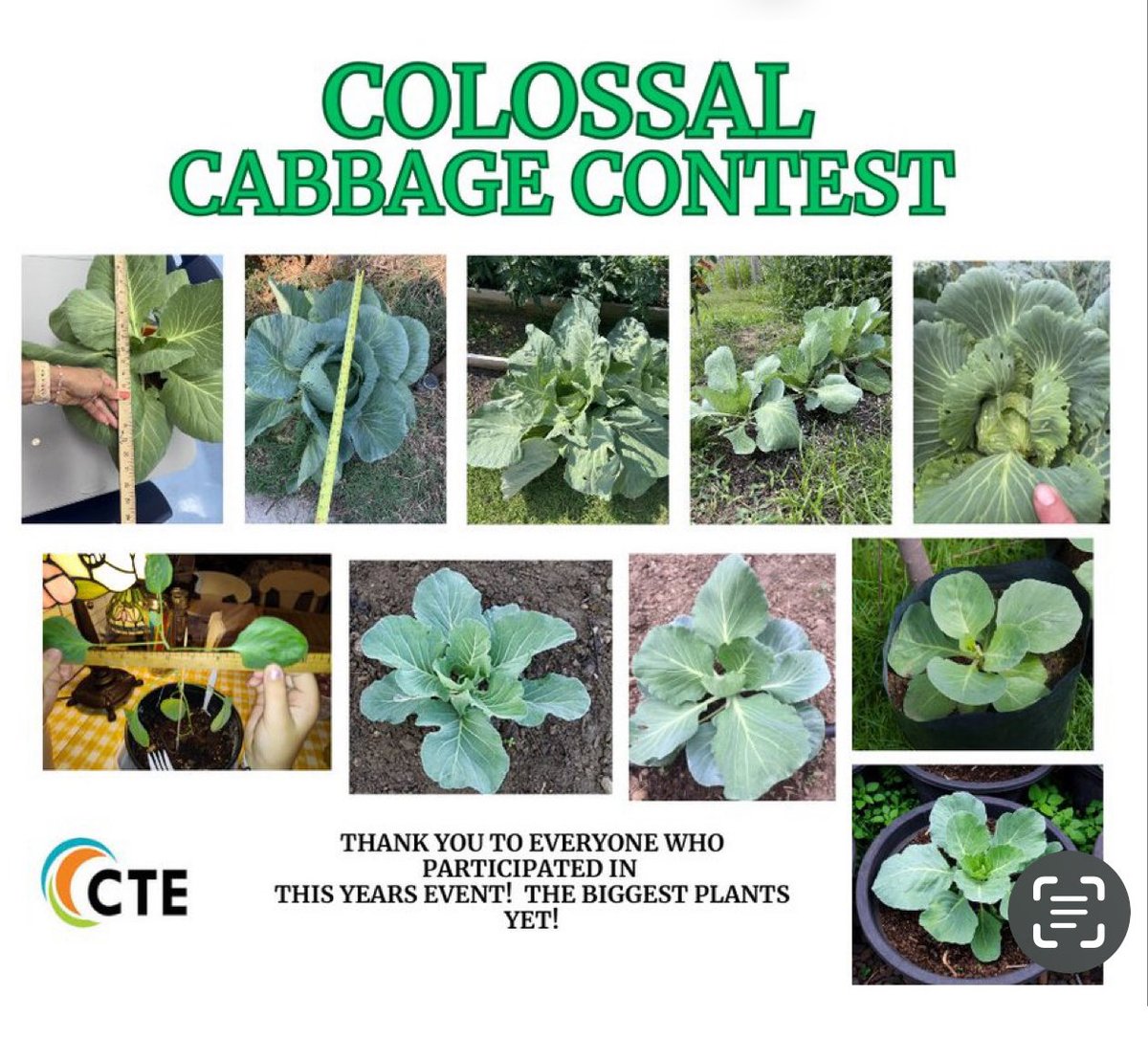 ashley_basnight's tweet photo. Excited to announce the winners of the Colossal Cabbage Contest-1st Place Ashley B., Honorable Mentions Emilie C and Hailey S. and Guidance Counselor, Jessie Brown (1st Place/Staff).
#AgScience recognition fun❤️#ctefornc @Daretolearn_DCS #ffms https://t.co/MfygOCTFVX