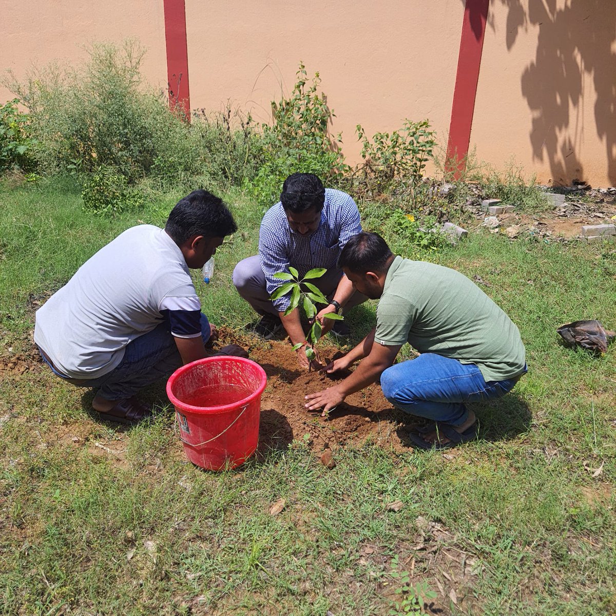 On the occasion of World  Environment  Day 2025, reaffirm our commitments to protecting  our Environment by Planting of trees in RTO office campus by the team RTO Phulbani.<a href="/CTOdisha/">ବାଣିଜ୍ୟ ଓ ପରିବହନ ବିଭାଗ । Commerce & Transport</a> <a href="/STAOdisha/">State Transport Authority, Odisha</a>