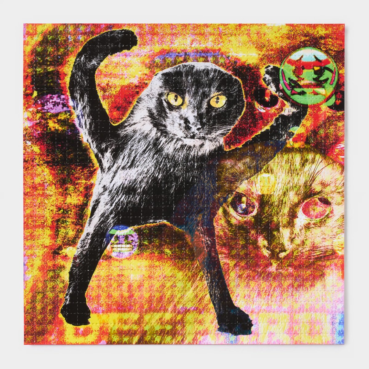 Metalabel (@metalabel_) on Twitter photo 