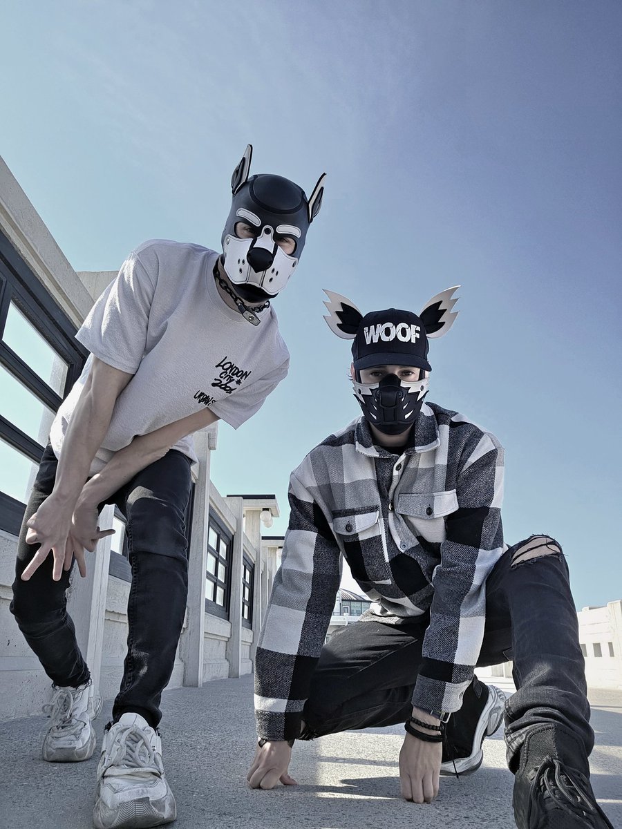Too cool for the summer 😎
With pupbenji.13 on IG