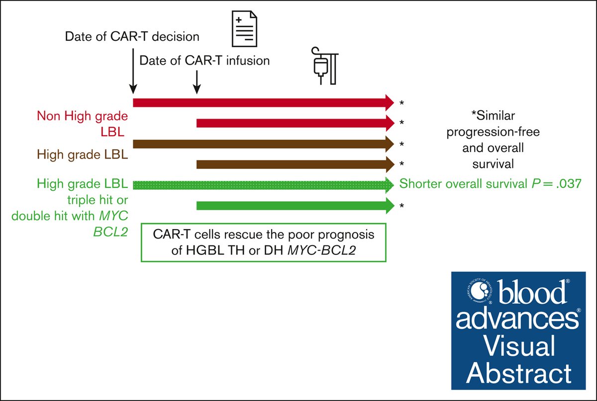 CAR-T cell rescue after second line appears to overcome the poor prognosis of HGBL compared with other LBCL all characterized with FISH. ow.ly/9j7r50W0xmE #lymphoidneoplasia #healthservicesandoutcomes