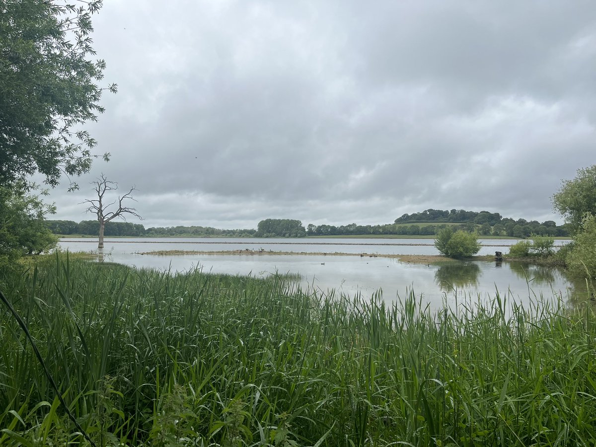 Leicester Community Links cic tweet media