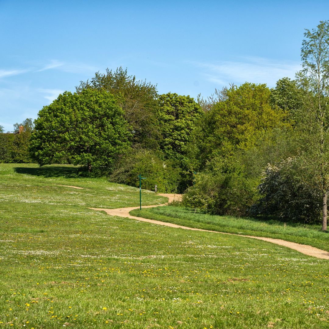 Do you want to learn more about trees? 🌳

Secure a place at our event on Mon 16 June at 5:30pm to explore Bancroft Park and learn how to identify different tree species.

Book now: ow.ly/7OBG50W4BfC