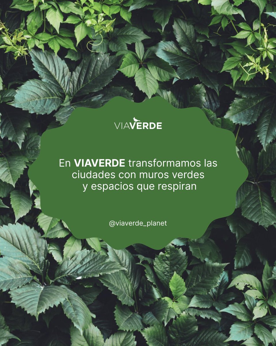 viaverde_planet's tweet photo. El #DíaMundialDelMedioAmbiente es un buen momento para detenernos a pensar sobre los retos y oportunidades que enfrentan nuestras ciudades para cuidar del planeta. https://t.co/sn9WJDodw7