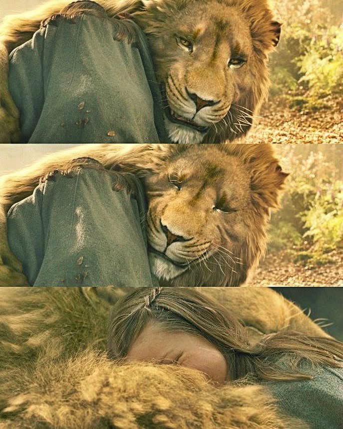 ElPastorJoelito's tweet photo. —“Aslan, eres tú. ¡Lo sabía! Pero se negaron a creerme”
—“¿Y por qué a pesar de eso no viniste a mí?”
.
Las Crónicas de Narnia: El Príncipe Caspian https://t.co/grLTfDYfR8