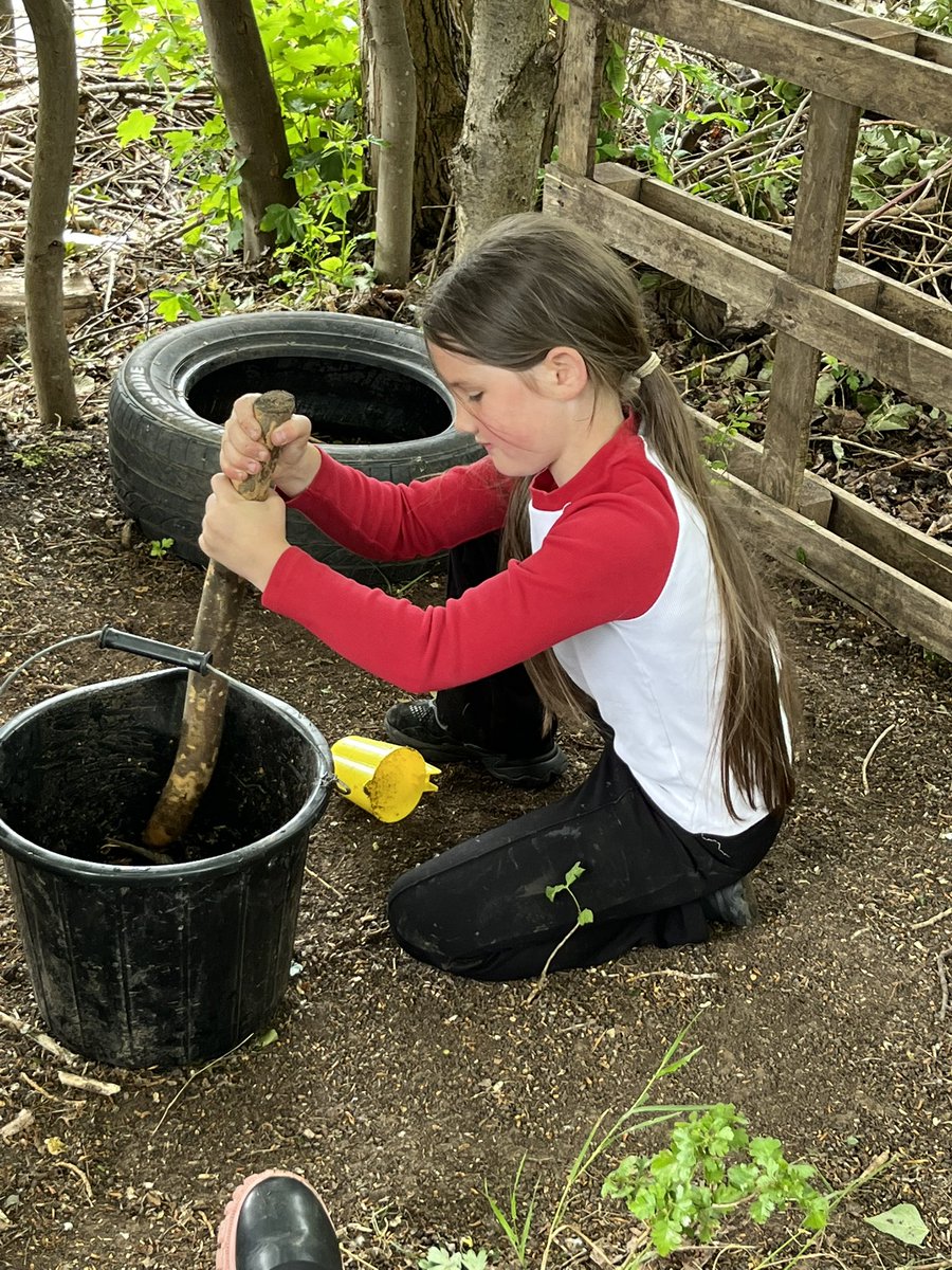 Samantha Hudson (@lfp_mrsh) on Twitter photo ๐ฒ The children had a fantastic afternoon at Forest School building shelters! Great teamwork, creative thinking, and clever use of natural materials led to some impressive structures. ๐#LFP3MC <a href="/LLF_DHT/">Mr. White DHT ๏ฃฟ</a> <a href="/LFP_MCollis/">Miss Collis</a> <a href="/lea_forest_curr/">Lea Forest Primary Academy - Curriculum</a> <a href="/LLF_Dep/">Miss Francois</a> <a href="/Lea_Forest_Lift/">Lift Lea Forest - Official Account</a> <a href="/LFPAPjhast/">Mr J Hastings</a> ๐ฒ The children had a fantastic afternoon at Forest School building shelters! Great teamwork, creative thinking, and clever use of natural materials led to some impressive structures. ๐#LFP3MC <a href="/LLF_DHT/">Mr. White DHT ๏ฃฟ</a> <a href="/LFP_MCollis/">Miss Collis</a> <a href="/lea_forest_curr/">Lea Forest Primary Academy - Curriculum</a> <a href="/LLF_Dep/">Miss Francois</a> <a href="/Lea_Forest_Lift/">Lift Lea Forest - Official Account</a> <a href="/LFPAPjhast/">Mr J Hastings</a>
