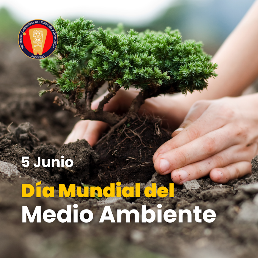 🌱 La salud del planeta y la salud humana están conectadas.
En #DíaDelMedioAmbiente, en FECOLSOG reafirmamos nuestro compromiso con la sostenibilidad en salud y el cuidado de la vida.
🌎 Proteger la tierra es protegernos.
#SaludYNaturaleza #FECOLSOGSostenible