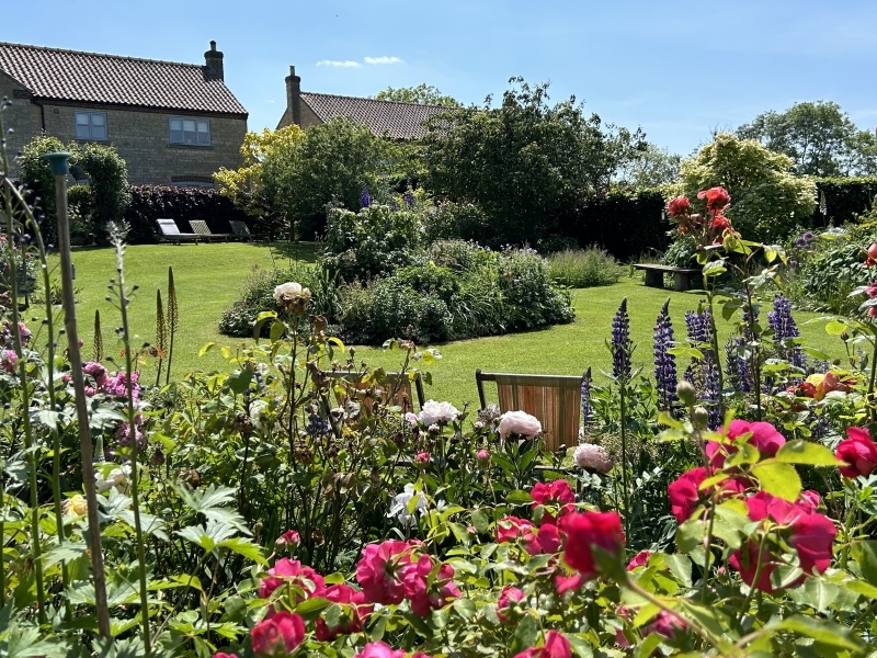 OPEN  7TH &amp;  8TH JUNE 11-4pm
3 Stone Lane, Little Humby, NG33 4HX
Approx. ⅔ acre, sloping gently downwards from the terrace to valley. Created over 16 years from a simple lawn to herbaceous plants, shrubs,climbing roses, orchard,wildlife pond. #NGS #opengarden #lincsconnect