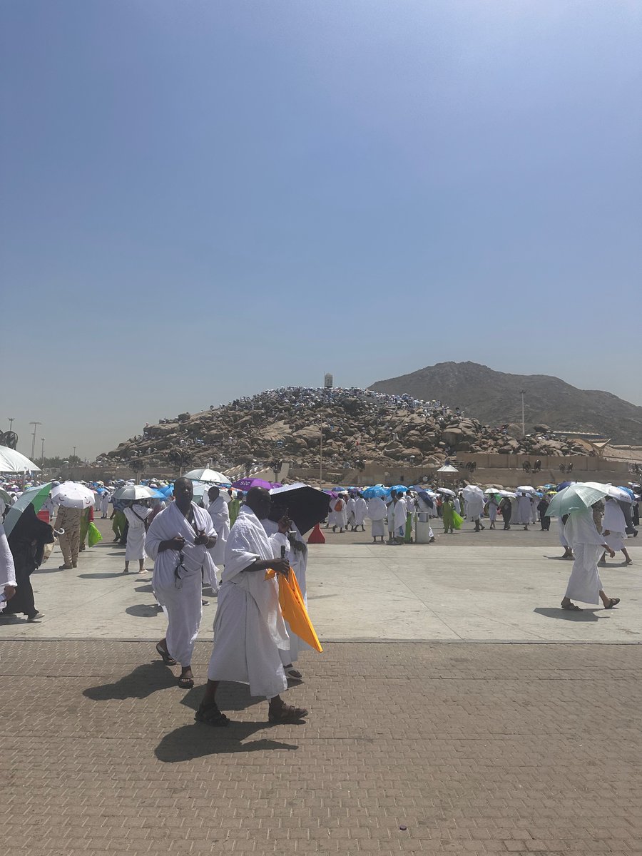 أسامة. tweet media