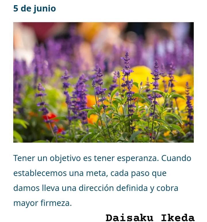 FGD (@fgarciadiaz) on Twitter photo 