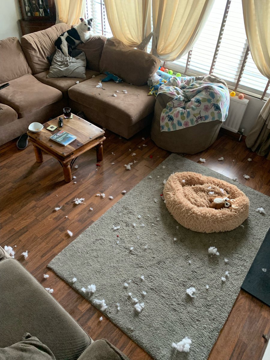 Oops - toy just exploded!