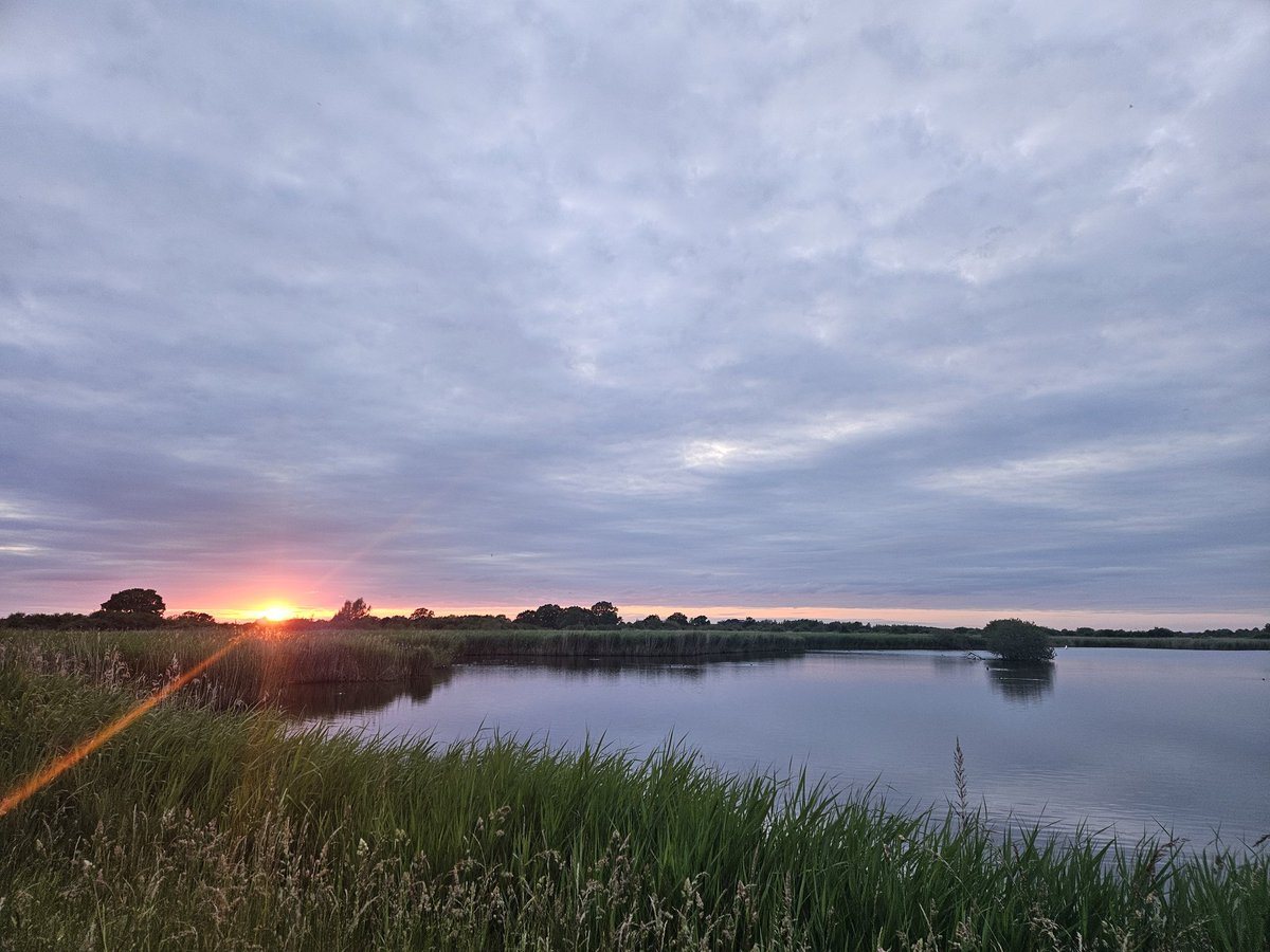 A productive last two hours of light at <a href="/RSPBotmoor/">RSPB Otmoor</a> y'day: 12+ Cattle Egrets into roost in the tree islands, 5+ Hobbies, likely several Marsh Harriers, a Bittern and a Sparrowhawk all from screen one - plus several Cuckoos, 3 Redshanks and 2 Oycs nearby. And a beautiful sunset!