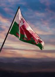 GwladAlexander's tweet photo. People have said how ironic it is, me a pro Welsh independence supporter, can’t speak Welsh. 

Me not able to speak Welsh proves a vital point. English oppression over the Welsh land has killed OUR language, OUR Culture, OUR COUNTRY.

I’m fed up! ENOUGH IS ENOUGH. #YESCYMRU 🏴󠁧󠁢󠁷󠁬󠁳󠁿 https://t.co/KlkIivPOkk