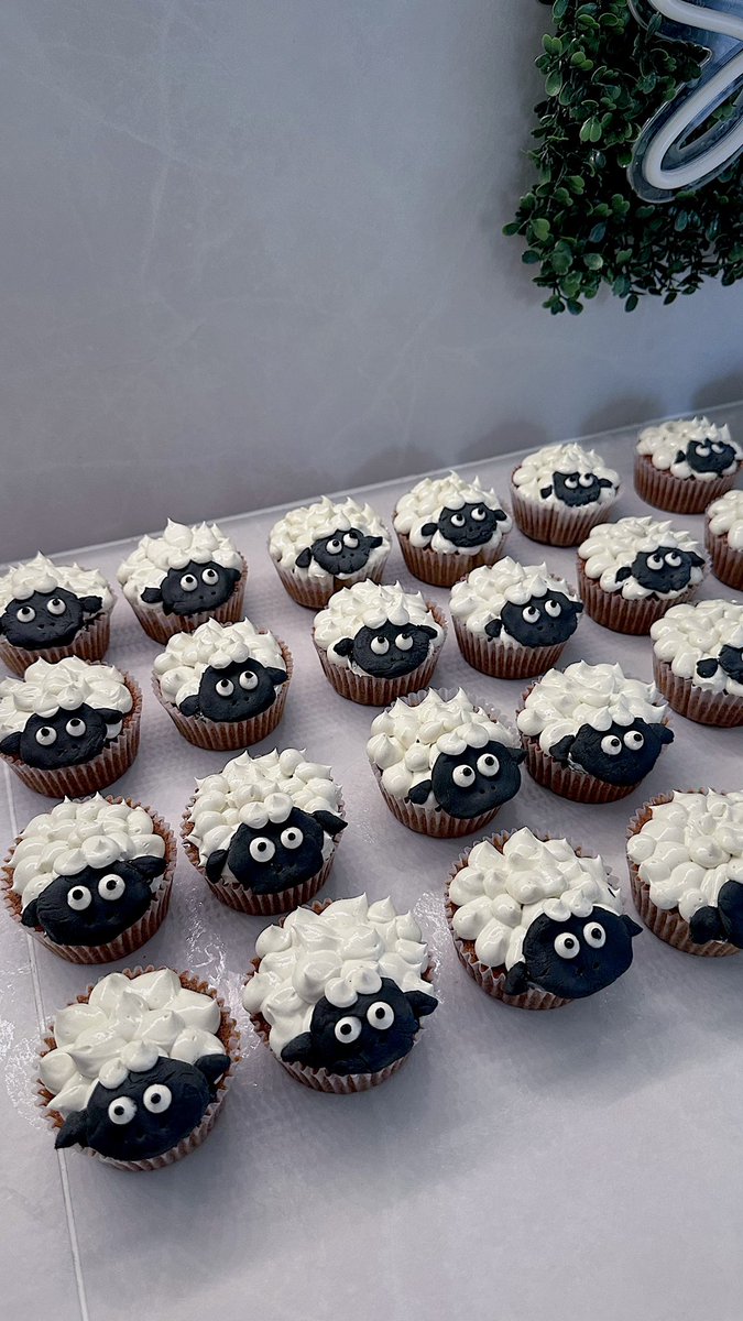 n3zooko's tweet photo. Regardez mes petits cupcake mouton pour l’aïd 🐑 https://t.co/wCrJbXXmrp