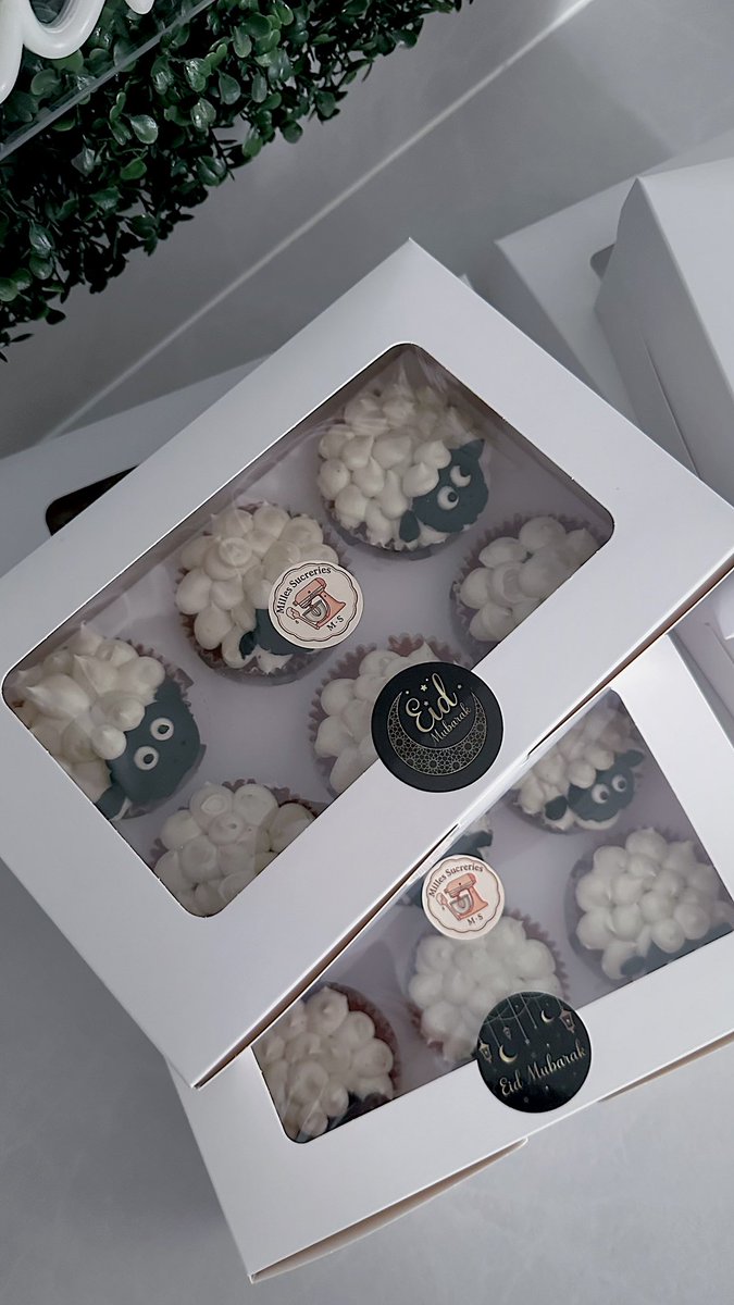 n3zooko's tweet photo. Regardez mes petits cupcake mouton pour l’aïd 🐑 https://t.co/wCrJbXXmrp