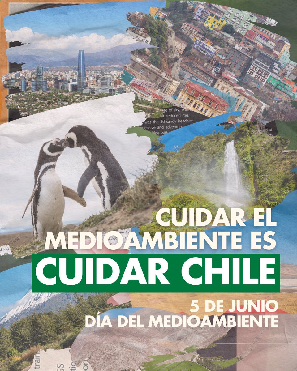 bancadaPSchile's tweet image. En este día, recordamos y mantenemos nuestra misión con proteger el medioambiente del país, a través de legislación que nos permita enfrentar de manera efectiva a los agentes que buscan destruir nuestros ecosistemas y poner en peligro a las comunidades.
