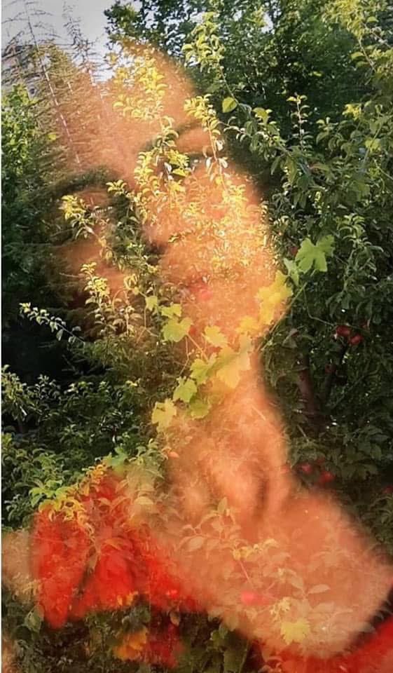 Kalbimin günbatısı, bu buz kesiği
bendeki lal, bu bendeki mıh,
söktüm senindir, sana bağışladım
ağaran saçımı, senindir, al…

Birhan Keskin