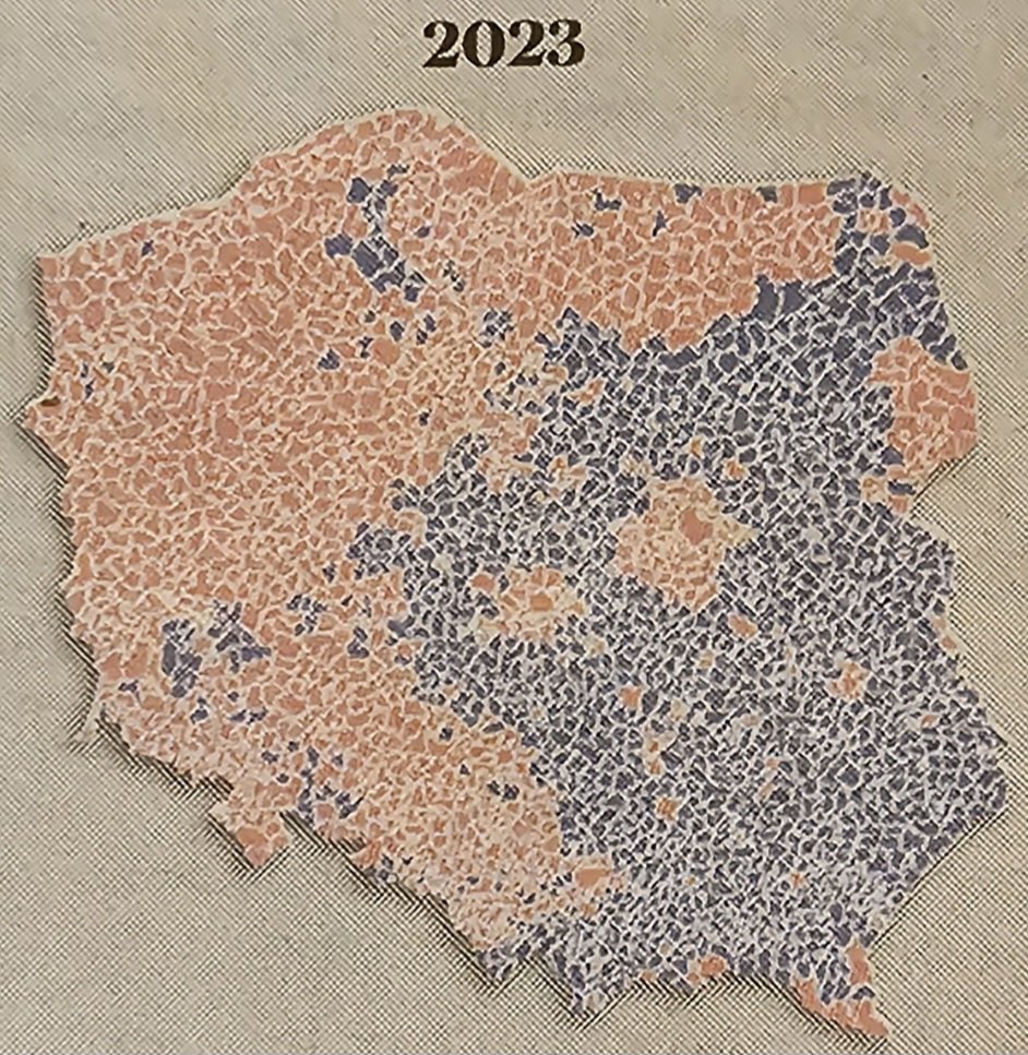 RadoslawSzafarz's tweet photo. Każda Obywatelka i Każdy Obywatel Polski🇵🇱🇪🇺- ma prawo do 100%-owej pewności, że jej/jego głos- został prawidłowo policzony. 
To jest podstawowe Prawo Obywatelskie.

Obecnie- takiej pewności nie ma. Kraków, Strzelce Opolskie, Grudziądz, etc.

#Wybory
#Cuda
#PrzeliczyćGłosy https://t.co/lJKvawVrF1